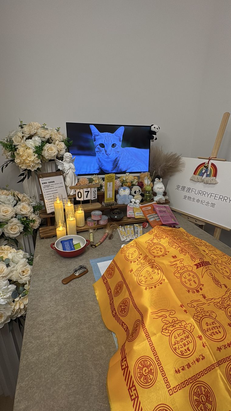 在吉林，当宠物离世后家人需要多久才能走出来