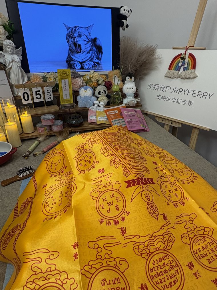吉林雾凇边的最后一场告别，我们这样替它安排