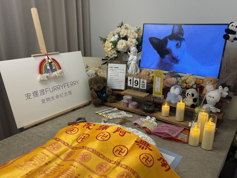 吉林宠物纪念